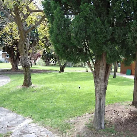 Sol Y Playa شقة